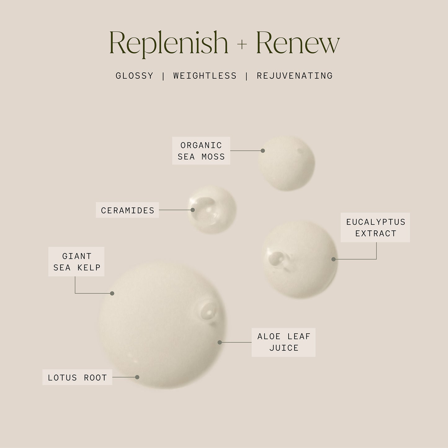 Sea Glass Barrier Reset Mist