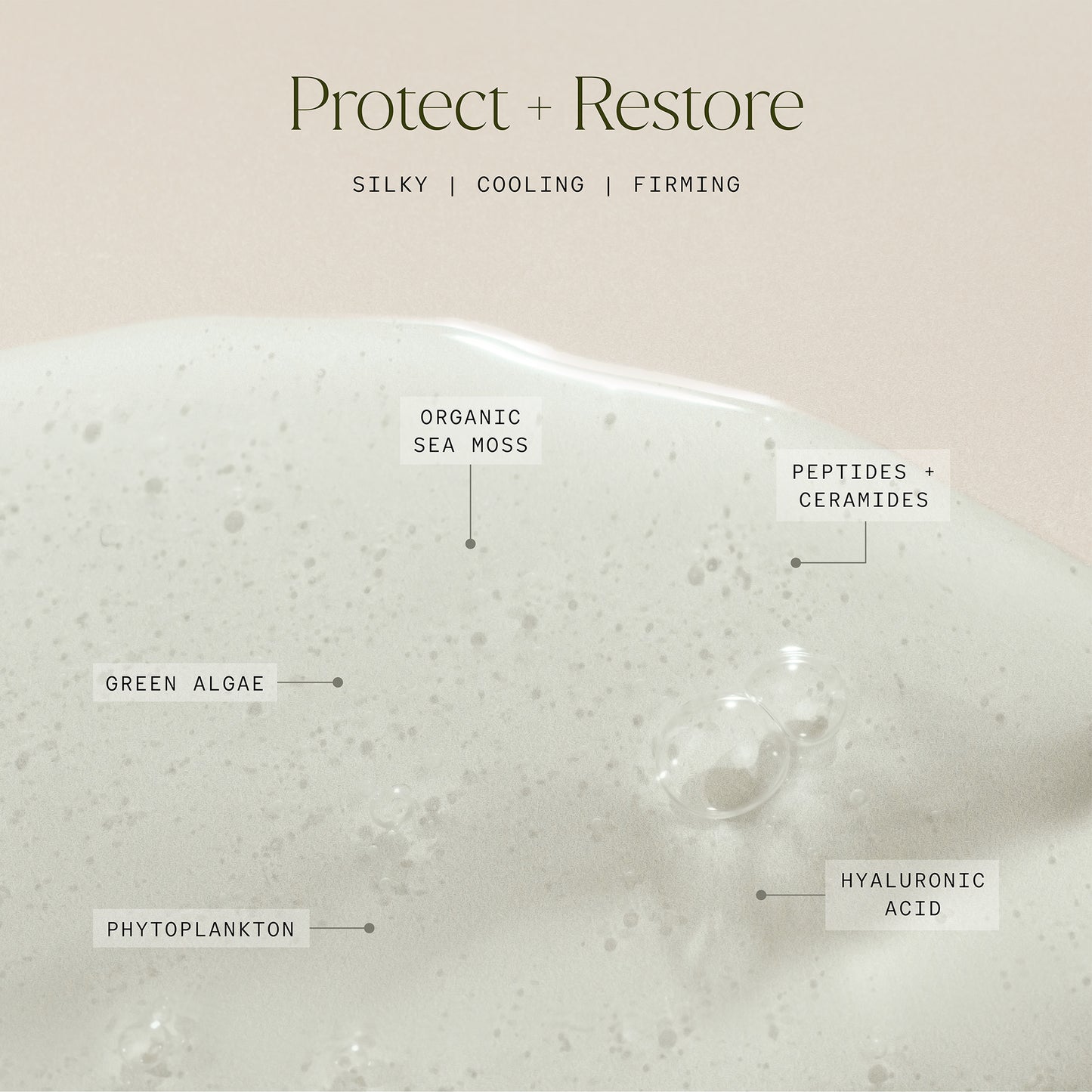 Sea Greens Barrier Repair Serum